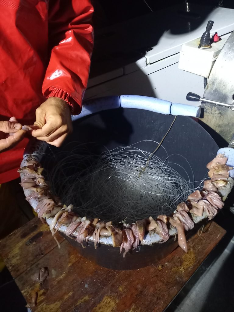 Caracterización y seguimiento de la pesca de palangró en las Pitiusas